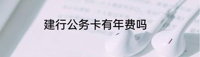 建行公务卡有年费吗