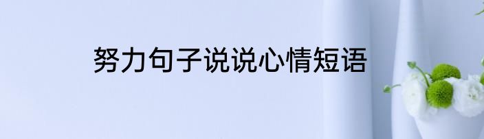 努力句子说说心情短语