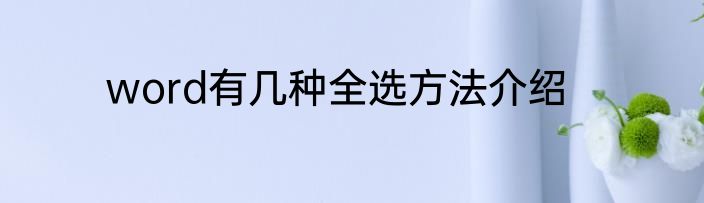word有几种全选方法介绍