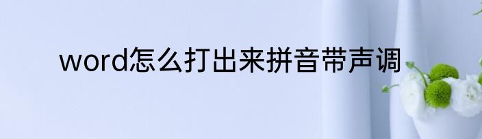 word怎么打出来拼音带声调