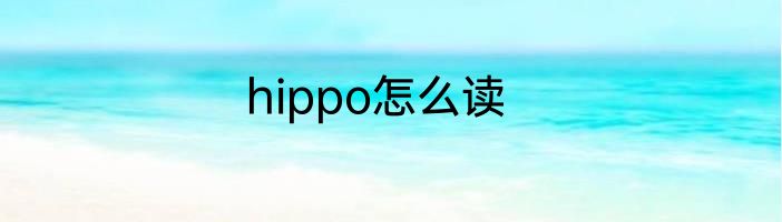 hippo怎么读