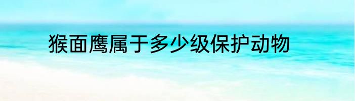 猴面鹰属于多少级保护动物