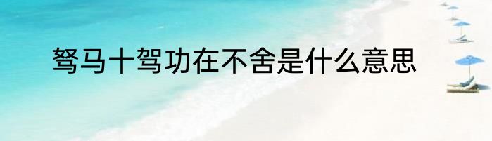 驽马十驾功在不舍是什么意思