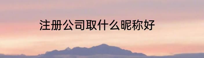 注册公司取什么昵称好
