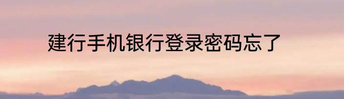 建行手机银行登录密码忘了