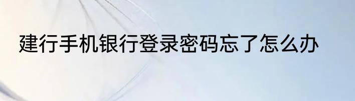 建行手机银行登录密码忘了怎么办