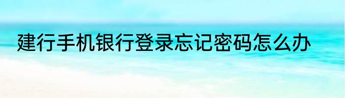 建行手机银行登录忘记密码怎么办