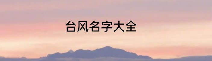 台风名字大全