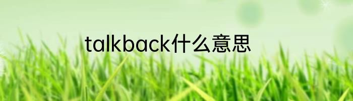 talkback什么意思