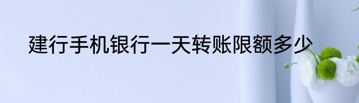 建行手机银行一天转账限额多少