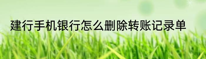 建行手机银行怎么删除转账记录单