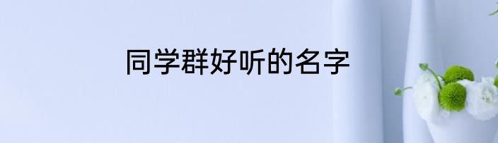 同学群好听的名字