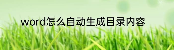 word怎么自动生成目录内容