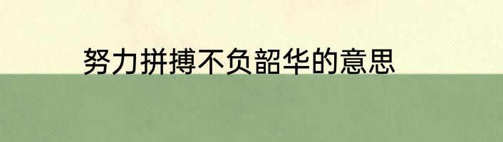 努力拼搏不负韶华的意思