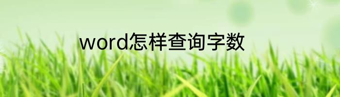word怎样查询字数