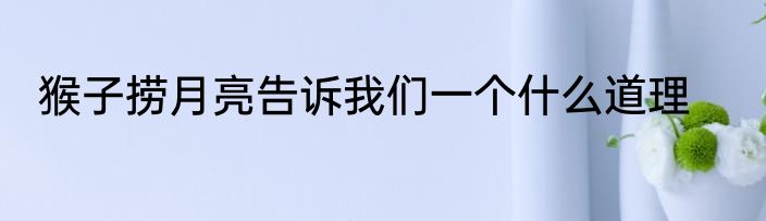 猴子捞月亮告诉我们一个什么道理