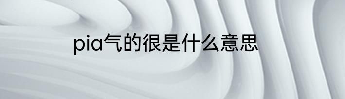 pia气的很是什么意思