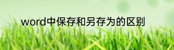 word中保存和另存为的区别