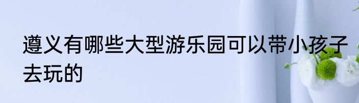 遵义有哪些大型游乐园可以带小孩子去玩的