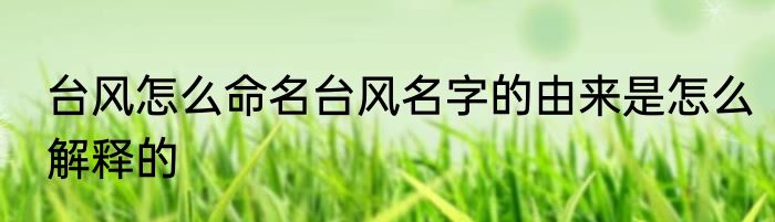 台风怎么命名台风名字的由来是怎么解释的