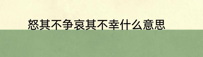 怒其不争哀其不幸什么意思