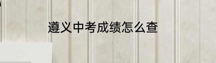 遵义中考成绩怎么查