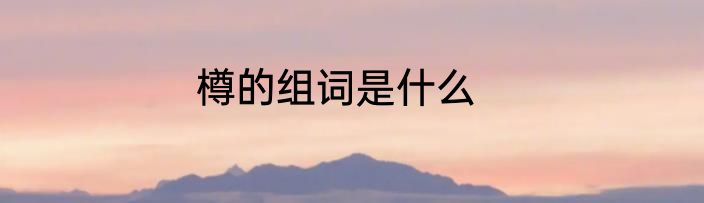樽的组词是什么