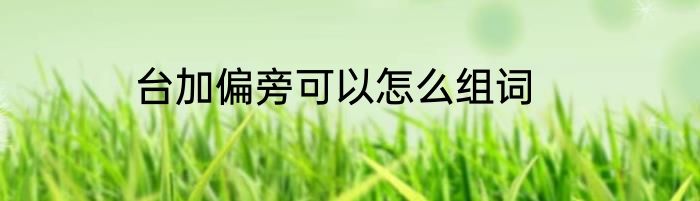 台加偏旁可以怎么组词