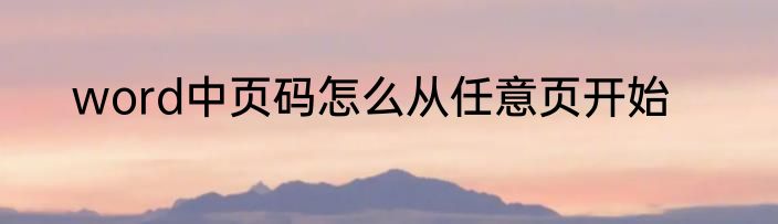 word中页码怎么从任意页开始