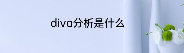 diva分析是什么