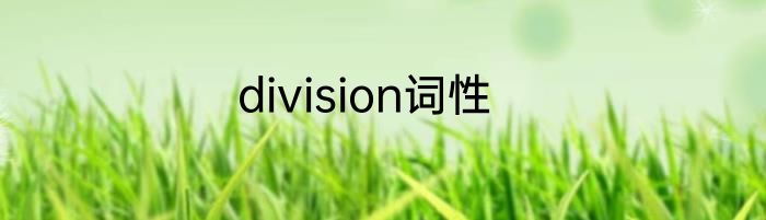 division词性