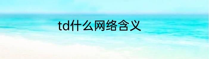 td什么网络含义