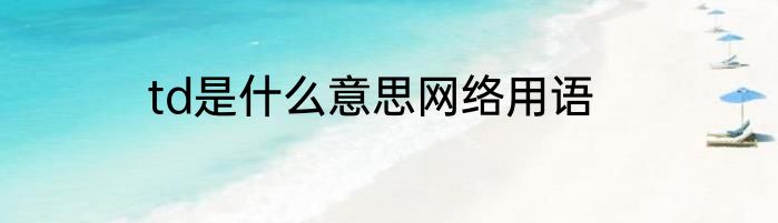 td是什么意思网络用语