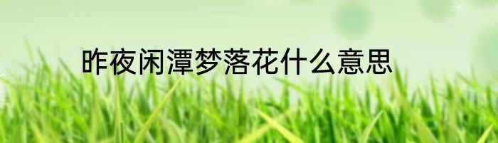 昨夜闲潭梦落花什么意思