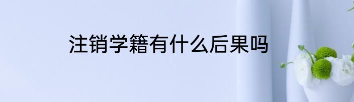 注销学籍有什么后果吗