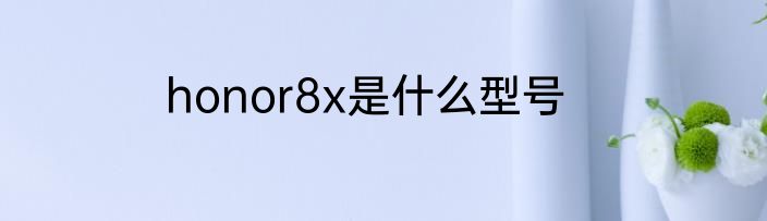 honor8x是什么型号