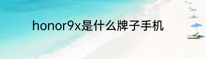 honor9x是什么牌子手机
