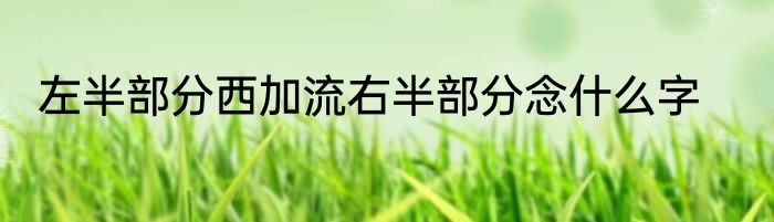 左半部分西加流右半部分念什么字