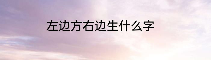左边方右边生什么字