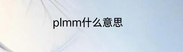 plmm什么意思