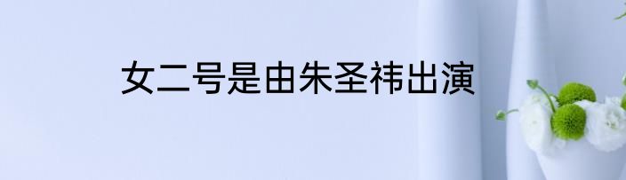 女二号是由朱圣祎出演