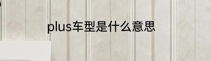 plus车型是什么意思