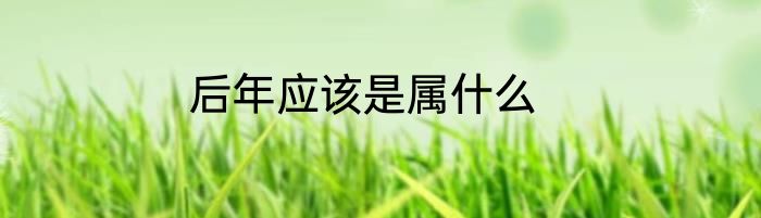 后年应该是属什么
