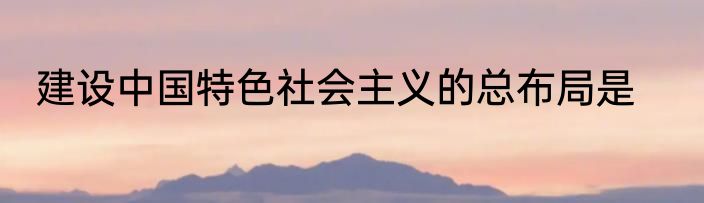 建设中国特色社会主义的总布局是