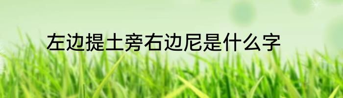 左边提土旁右边尼是什么字
