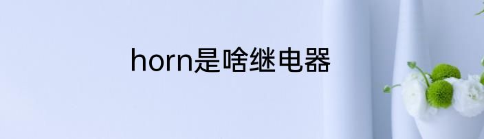 horn是啥继电器