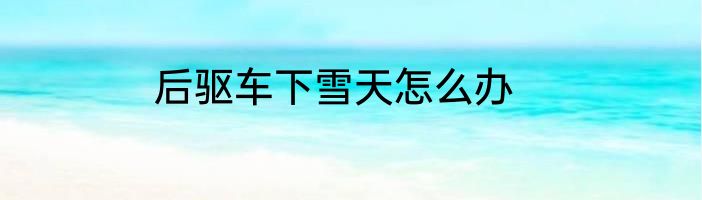 后驱车下雪天怎么办
