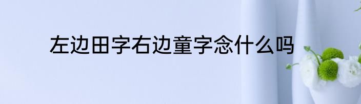 左边田字右边童字念什么吗