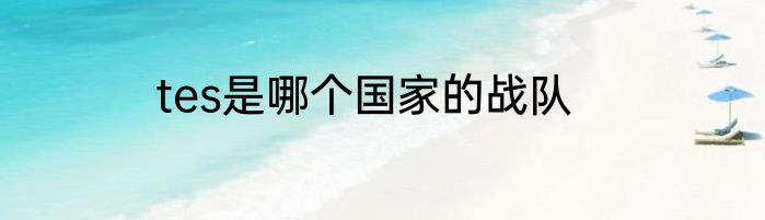 tes是哪个国家的战队