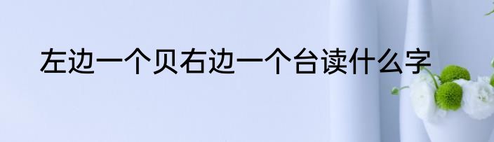 左边一个贝右边一个台读什么字
